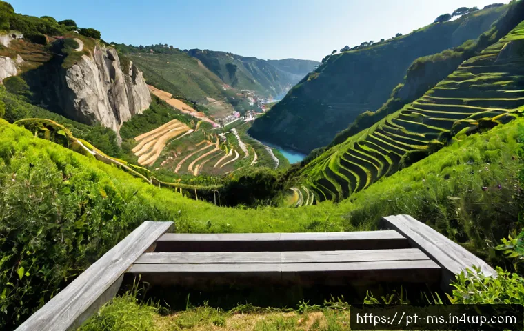 Como analisar descobertas científicas entre leis universais e contextos particulares 4 과학적 발견의 보편성과 특수성 관련 이미지 2